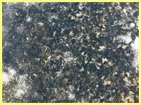 North Palm Beach Restoration Expert North Palm Beach, FL 561-367-5132 North Palm Beach Restoration Expert North Palm Beach, FL 561-367-5132